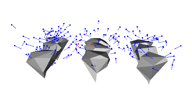 Simulated Viewpoints